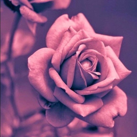 Meet your Posher, Melanie - Picture 1 of 8